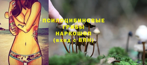 apvp Балахна