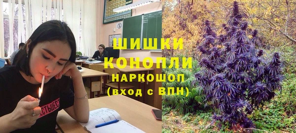 apvp Балахна