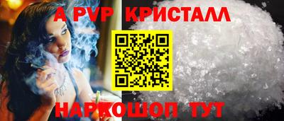индика Гусев