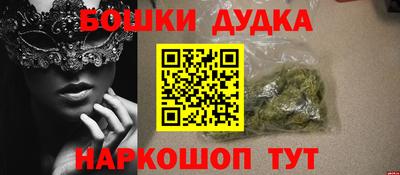 индика Гусев