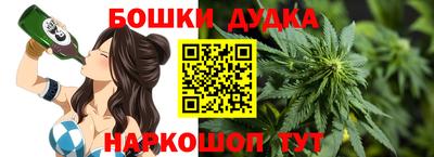 индика Гусев