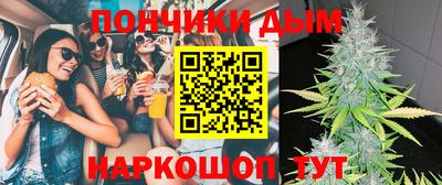 индика Гусев