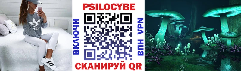 Галлюциногенные грибы Psilocybe  наркотики  darknet наркотические препараты  Нерюнгри 