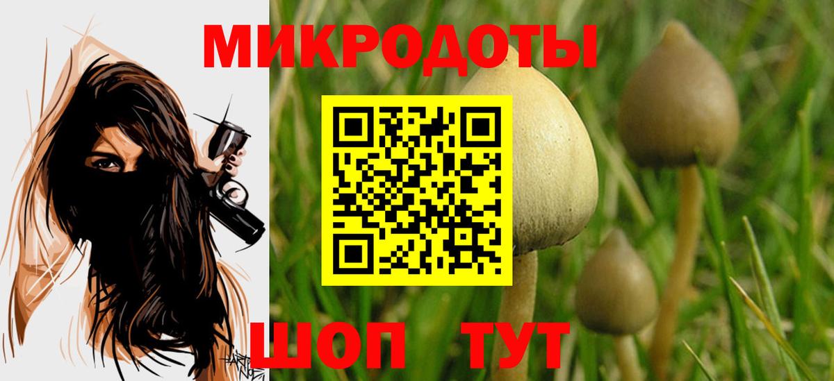 Галлюциногенные грибы Magic Shrooms  Вход с VPN  Нерюнгри 